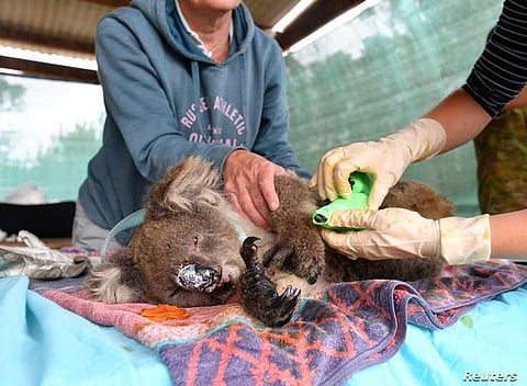 Cinema Has the Power to Bring Social Change: Vikrant Massey