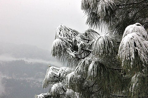 No White Christmas in Shimla This Year Too!