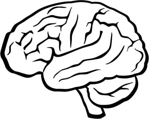 Depression in Parents Responsible for Brain Differences of Kids