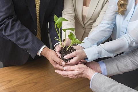 Here are Ways to Make Your Office Eco-Friendly