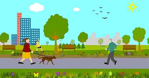 Here’s Why Living in Greener Areas is Important!