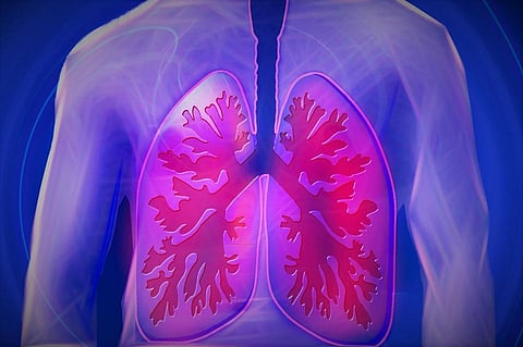 Experts say, Long-Term Exposure to Asbestos can Trigger Lung Cancer