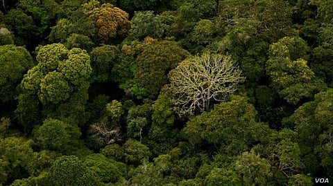 Historic Agreement between Gabon and Norway Seeking to Ensure it Stays that Way