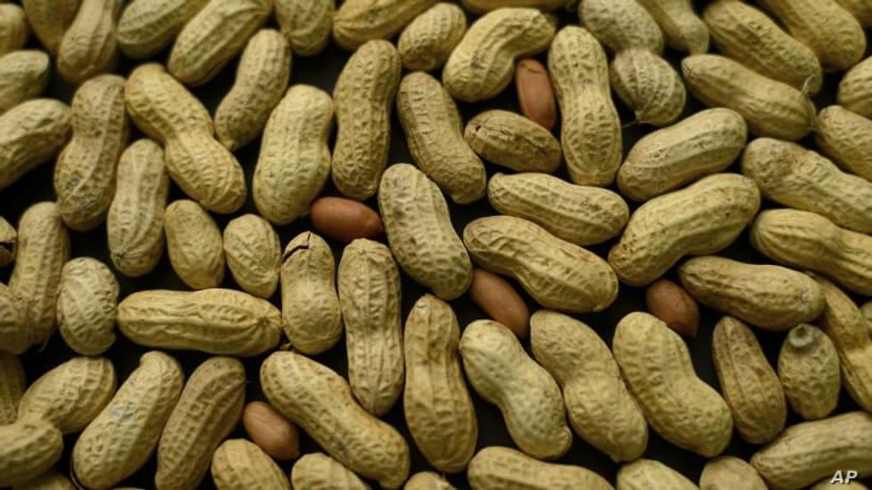 Government Experts Back Experimental Treatment for Children with Peanut Allergies