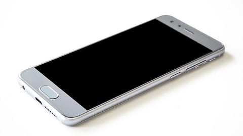 Incredible India Website Boosts Wildlife Tourism