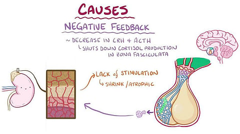 The Health Benefits of Testing Your Cortisol Levels
