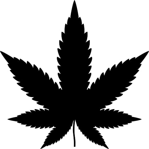 Mint Dispensary, Unique Store/Restaurant in Arizona that Adds Weed to Everything