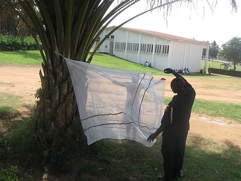 New Tool Reveals Insecticide-Treated Bed Net Use Spotty, Lifting Malaria Risk