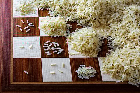 An Investor’s Perspective: The Story of Rice and Chessboard