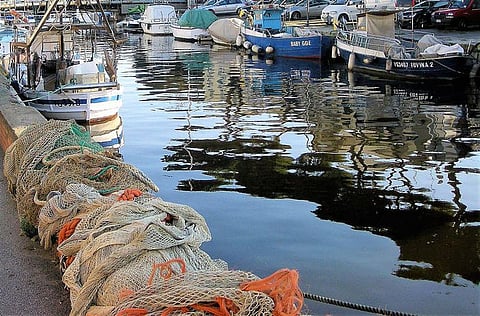 Medical Selfies can Improve Relationship between Patient and Doctor: Study