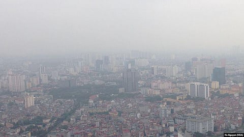 Delhi Forest Department Plans to Develop 11 City Forests During Monsoon