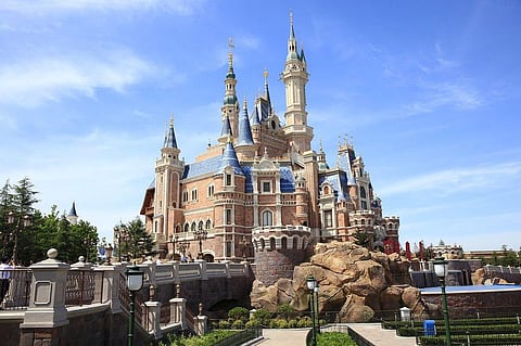 Shanghai Disney Resort Becomes Home to over 90 Kinds of Birds