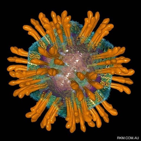 Incidence of Hepatitis-B Virus Higher Among the Tribals in India