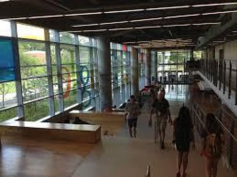 Herbs and Natural Ingredients Can Support Your Newborn’s Digestive System