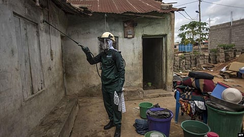 WHO Certifies Argentina and Algeria as Malaria-Free Countries