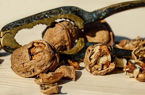 Eating Walnuts Everyday Reduces Risk of Heart Diseases: Study