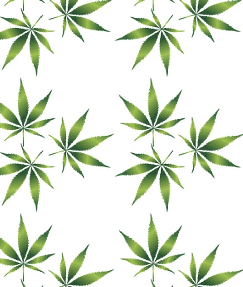 Scientists Facilitate The Regulatory Process For Herbal Drugs