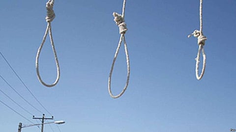 Global Judicial Executions Fell By One-Third In 2018, Reaching Lowest in A Decade