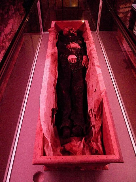 Centuries-old Egyptian Mummy, Artefacts Unearthed