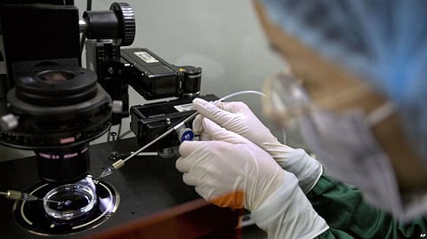 To Ensure Transparency, WHO Panel Aims for Registry of All Human Gene-Editing Research