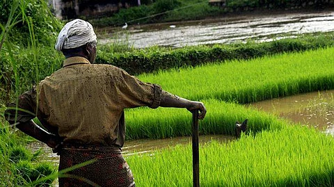 Know About The Psychologists Team Helping To Prevent Farmers’ Suicides in Parts of Telangana
