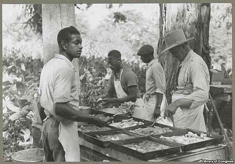 It Is Food That African Americans Began To Create A Long Time Ago To Eat With Dignity As Enslaved People