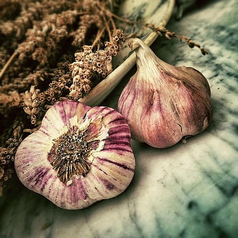 Daily Consumption of Garlic, Onion Reduces Risk of Colon Cancer