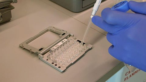 New Techniques Let Scientists Directly Study The DNA Codes