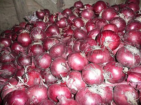 Consumption of Allium Vegetables Like Onion, Garlic May Lower Risk of Colorectal Cancer