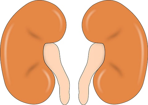 Common Heartburn Drug Linked to Kidney Disease Risk, Says Study