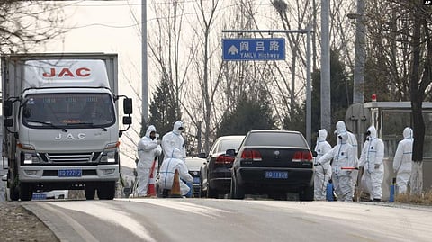 African Swine Fever Affects China’s Pork Industry