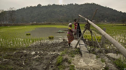 With The Elections Coming Up, Indian Government Promises Farmers Their Income Support