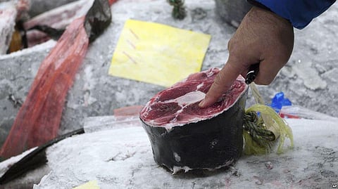 Bluefin Tuna Sold At an Auction for a Record $3 Million