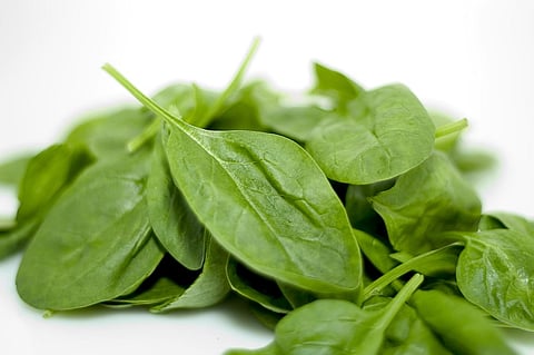 Protein Found in Spinach May Treat Alcohol Abuse, Mood Disorders