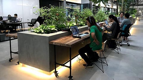 Make Your Work Space Healthier