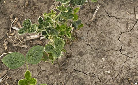 China Bans iPhone Sales Due to Patent Dispute