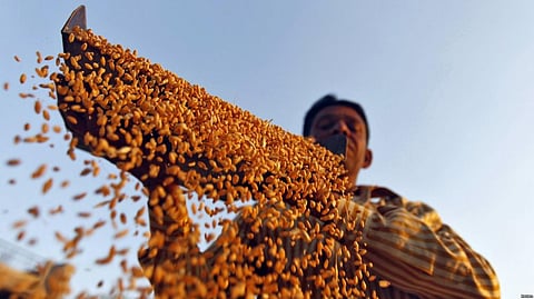 India’s Farmer Protests Highlight Increasing Rural Distress