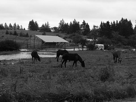 Combating Overgrazing To Fight Climate Change: Ranchers