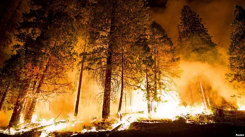 U.S. Officials Find Solutions To Prevent Increased Wildfires