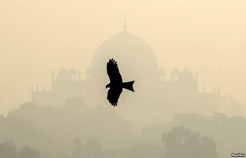 Why Mobile Bingo Is So Popular