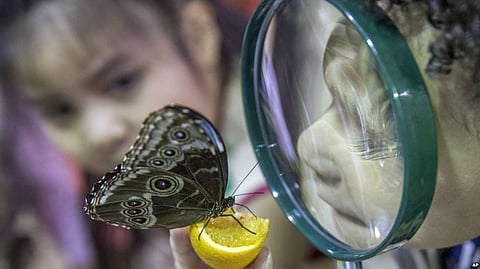 Paralysis Causing Illness In Children Baffles Doctors