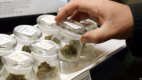 Canada Legalizes Recreational Cannabis