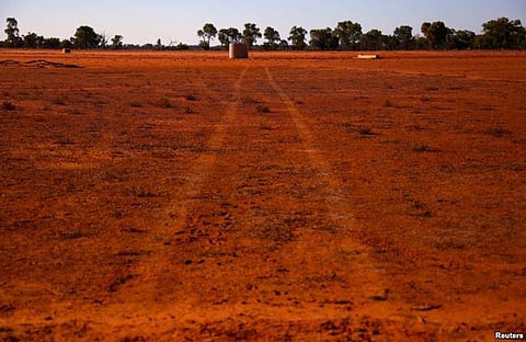 Hindu Council In Australia Promotes Vegetarianism