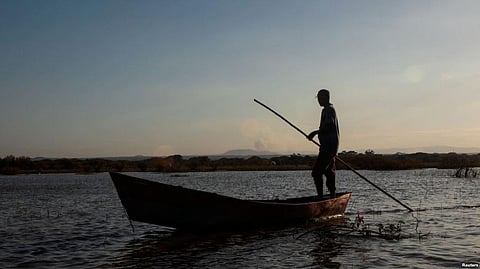 Wetlands Disappearing Faster Than Forests Due to Climate Change: Report