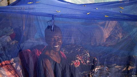 Sudan Suffers From A Chikungunya Outbreak