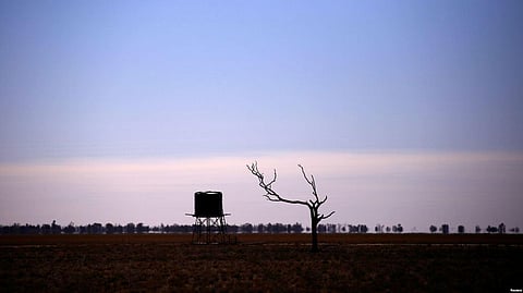 Queensland in Australia to Combat Diseases And Deaths Caused by Climate-change