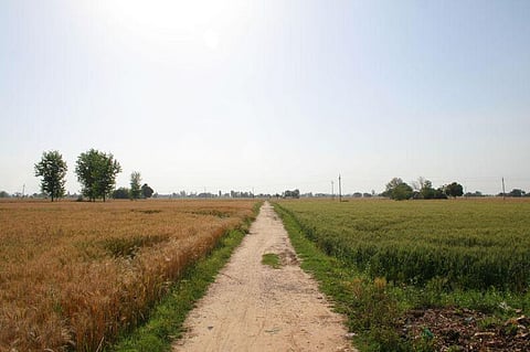 Punjab Gets Tech-Savy and Eco-friendly