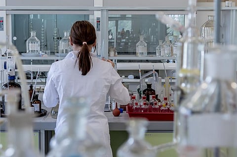 Chinese Researchers Find New Way to Create Artificial Wood