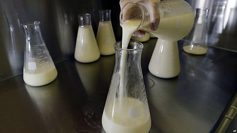 Kenya’s First Breast Milk Bank to Combat Newborn Mortality