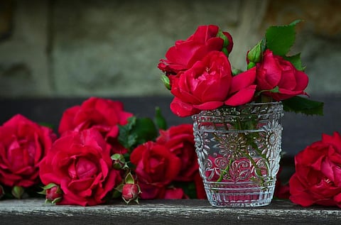 Use Roses to Hydrate Skin, Treat Acne And De-Stress